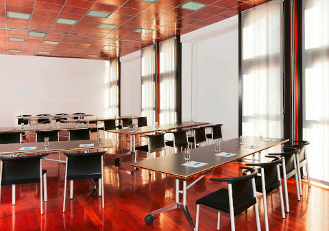 Four Points Sheraton Hotel - foto 14 (Meeting Room)