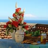 Alberghi VILLAPIANA - Bed And Breakfast La Panoramica