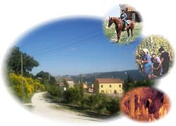 Picture of AGRITURISMO ZIAMELIA of CINGOLI