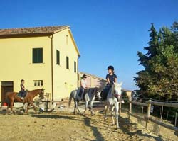 Picture of AGRITURISMO ZIAMELIA of CINGOLI