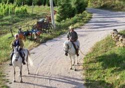 Picture of AGRITURISMO ZIAMELIA of CINGOLI