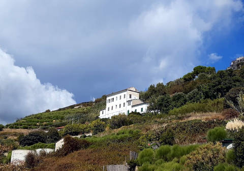 Foto B&B ROMANTIC CASA LORENZINA  di VENTIMIGLIA