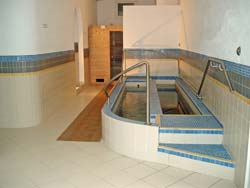 HOTEL TERME ROSALEO - Foto 11