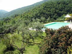 Foto AGRITURISMO IL SAMBRO di PASSAGGIO DI BETTONA