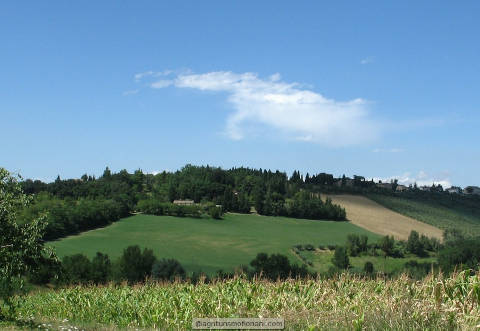 Foto AGRITURISMO  FLORIANI di MACERATA