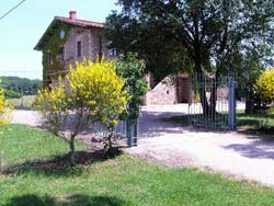 Picture of AGRITURISMO I MORI GELSI of TORGIANO