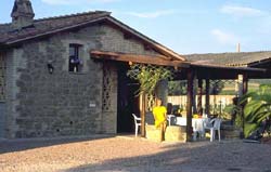 Picture of AGRITURISMO I MORI GELSI of TORGIANO