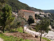 Picture of AGRITURISMO STUDENT'S HOSTEL GOWETT of CAMPIGLIA MARITTIMA