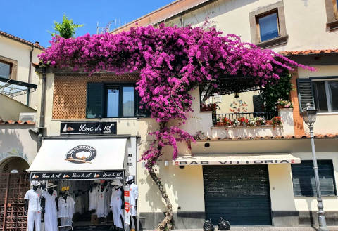 Foto CASA VACANZE VILLA ELISA  di SORRENTO