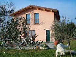 Picture of B&B  CASCINA RIMINI of VERGIANO