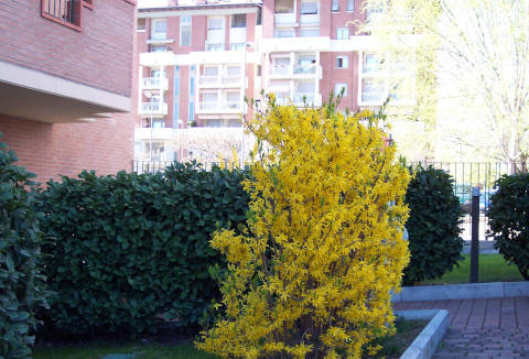 Foto B&B  IL PARCO di PARMA