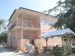 Foto AFFITTACAMERE MIMOSA BOLGHERI  di BOLGHERI