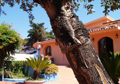 Picture of HOTEL  CORALLO of POSADA