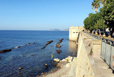 Foto B&B BLUE DOLPHIN di ALGHERO