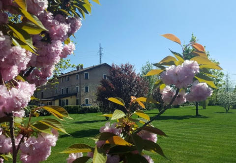 Foto AGRITURISMO  IL BRUGNOLO di SCANDIANO