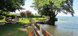 Picture of AGRITURISMO ARLENA of BOLSENA