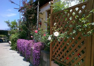 IL ROSETO B&B - Foto 11