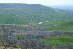 Photo HOTEL MASSERIA PROTOMASTRO  a GRAVINA IN PUGLIA