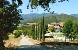 Picture of B&B IL CARDO RESORT of ANGHIARI