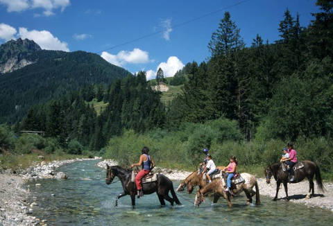 Foto B&B   DOMUSFLAVIA DI STEFANO DE CARLI di LEVICO TERME