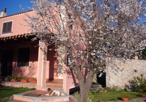 Picture of B&B GIO FRANZISCU of OLBIA