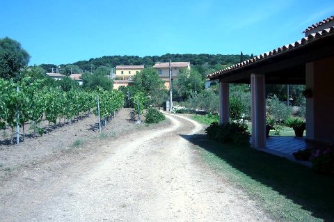 Photo B&B GIO FRANZISCU a OLBIA