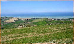 Photo AGRITURISMO IL MELOGRANO DELLE CENTO VIE a ROSETO DEGLI ABRUZZI