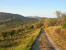 Foto APPARTAMENTI APPARTAMENTO ROLAX di MONTELAGUARDIA