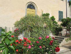 Foto B&B ANTICA TOSCANA  di CALCI