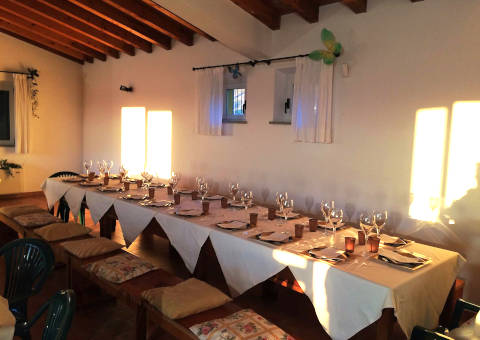 Picture of CASA VACANZE IL POGGIO DELLE GINESTRE  of TORGIANO