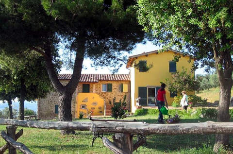 Photo CASA VACANZE IL POGGIO DELLE GINESTRE  a TORGIANO