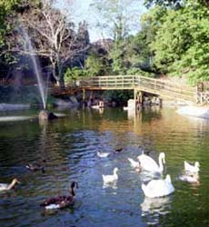 Foto HOTEL BALLETTI PARK  di SAN MARTINO AL CIMINO