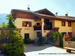 Picture of AGRITURISMO AGRIHOUSE of CAMPODENNO