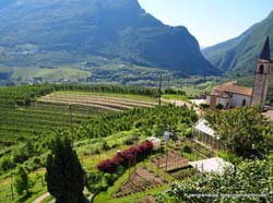 Picture of AGRITURISMO AGRIHOUSE of CAMPODENNO