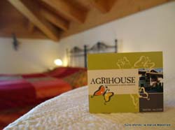 AGRIHOUSE - Foto 9