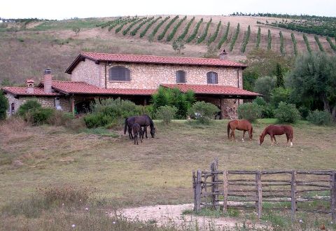 CASALE FARNESIANA COUNTRY HOUSE - Foto 10