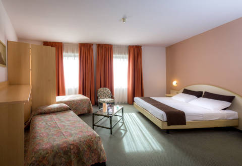 Photo HOTEL DES ALPES a ROSTA