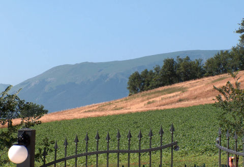 Picture of AGRITURISMO OLMO DI CASIGLIANO of CESSAPALOMBO