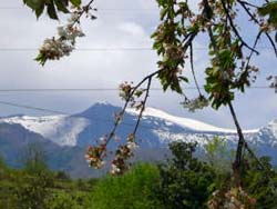 Picture of B&B IL SOFFIONE of ZAFFERANA ETNEA