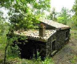 Foto CASA VACANZE BAITA NEI BOSCHI DEL PARCO DELL'ETNA di ZAFFERANA ETNEA