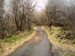 BAITA NEI BOSCHI DEL PARCO DELL'ETNA - Foto 5