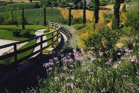 Foto AGRITURISMO LA DOLCE VITA di ISOLA DEL GRAN SASSO D'ITALIA