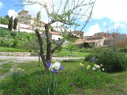 Picture of HOTEL FUNTANARENA of CODRONGIANOS