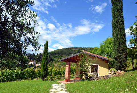 Foto AGRITURISMO  CORTE TAMELLINI di SOAVE