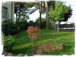 RUAH - Foto 5