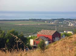 ACQUA DI FRISO - Foto 6