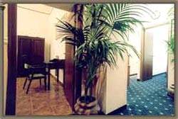 EVERGREEN - Foto 2