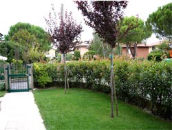 Picture of B&B CHIARO DI LUNA of SIRMIONE