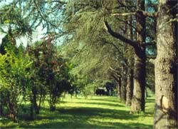 Picture of HOTEL  RISTORANTE VILLA CICONIA of ORVIETO