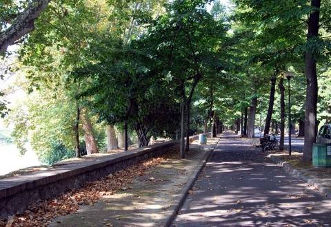 Picture of B&B LE PIAGGE of PISA